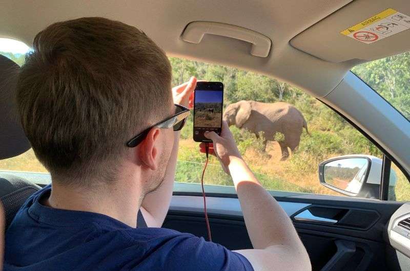 Addo Elephant National Park, Eastern Cap, South Africa,By Car, Self-Drive Safaris