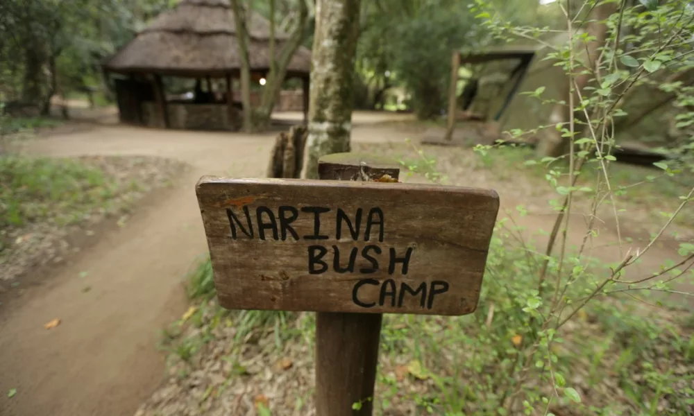 Narina Bush Camp Addo Elephant